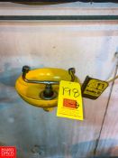 Emergency Eye Wash Station with Hand Controls - Rigging Fee: $35