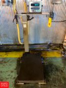 Chatillon Portable Pedestal Scale with GSE 450 Readout - Rigging Fee: $75