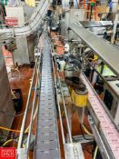 50' S/S Dual-Lane Framed Product Conveyor with 3.25