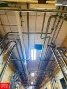 (6) Ball-Type Check Valves, (2) Tri-Clover Air Valves and 150'+ S/S 3