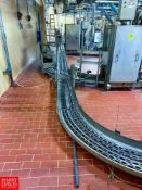 Complete Lower Case Conveyor System with (4) Above Ground Case Conveyor Drives, S/S and Steel Pan