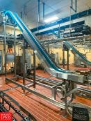 Custom Metal Designs Inclined Gripper Type Jug Elevator