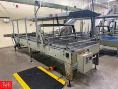 Custom Metal Designs De-Bagging Table with Slicer and Vertical Conveyor
