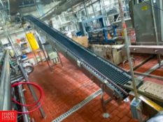 (20+) Inclined S/S Framed Carton Conveyor, with 15