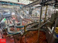 (50+) S/S Product Combing Conveyor with 3.25