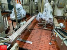 (30+) S/S Framed Carton Conveyor, with 15