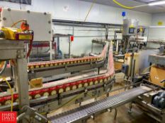 20'+ 2 Lane, Frame Product S/S Conveyor with 45° Turns, 3.25