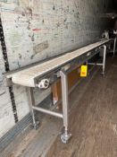S/S Framed Product Conveyor with Drive and Controls, Dimensions = 232