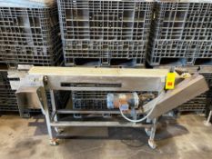 S/S Framed Conveyor with Drive and Casters, Dimensions = 66