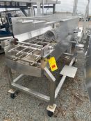 S/S Conveyor with S/S Chain and Casters, Dimensions = 70