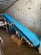 S/S Mobile Transfer Conveyor with Drive, Dimensions = 220
