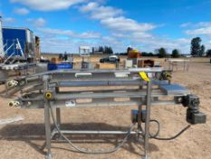 S/S Dual-Track Conveyor with Drive, Dimensions = 88