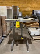 Westar S/S Conveyor with Drive and Controls, Dimensions = 36