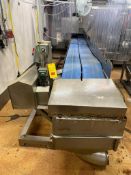 Dual Lane S/S Framed Conveyor with Drive, Dimensions= 21' x 22