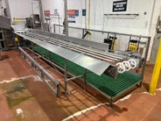 S/S Frame Conveyor 18' x 20