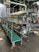 S/S Framed Washer Conveyor with Washdown Motor, Dimensions= 19' x 9