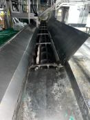 S/S Auger Conveyor, Dimensions= 24' x 10