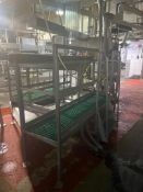 S/S Frame Work Platform and Wash Pan - Rigging Fee: $300