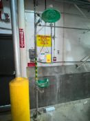 Eye Wash and Shower Station - Rigging Fee: $75