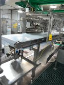 Frontmatec S/S Hydraulic Alignment System Conveyor with Drive, Dimensions= 150