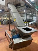 S/S Auger Conveyer with Casters 10' x 21