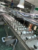 S/S Saddle Conveyor with S/S Clad Drive, Dimensions= 22' x 31