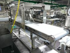 Frontmatec S/S Hydraulic Alignment System Conveyor with Drive, Dimensions= 150