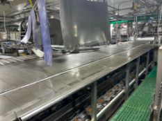 S/S Conveyor with (2) Platforms and Stairs, Dimensions= 8' x 18