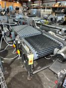 D&F S/S Framed Smart Conveyor with S/S Clad Drive, Dimensions= 45 x 27 and D&F S/S Framed Conveyor w