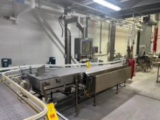 S/S Framed Conveyor System with Accumulation Conveyor, Dimensions = 10' x 3' (Max), Accumulation Con