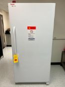 Thermo Scientific Freezer, Model: 20LFEETSA - Rigging Fee: $200