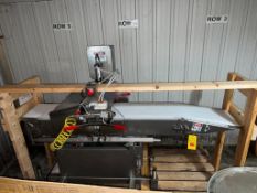 S/S Framed F.N. Mobile Slicing Conveyor Dom 7' x 14