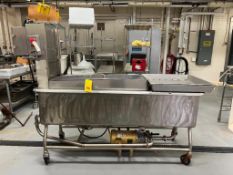 S/S Mobile COP Trough, Dimensions = 6' x 2' with S/S Washer, S/S Sifting Screen and Centrifugal Pump