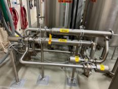 (2) S/S Online Filter with (3) 3 and 2-Way 2