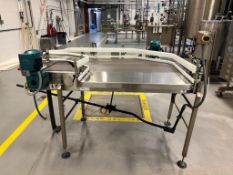 S/S Framed Accumulation Conveyor with (2) Drives, Dimensions = 58