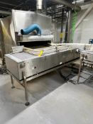 S/S Frames Accumulation Conveyor with Drive, Dimensions = 124