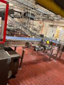 Integrated Packaging Machinery/Descon S/S Framed Conveyor with 34