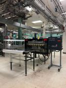 Automatic Inspection Systems Bagging Table - Rigging Fees: $2750