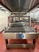 Custom Metal Designs S/S Framed Debagging Table with Allen-Bradley HMI, Dimensions = 138