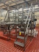 S/S Framed Conveyor Crossover with Platforms, Handrail and Stairs, Dimensions = 47