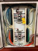 (2) Allen-Bradley 17910OA32 Outputs with Air Valve Solenoids and S/S Enclosure - Rigging Fees: $250