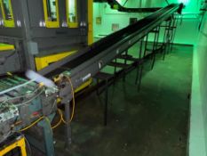 100'+ Case Conveyor with Incline and 180°Turn - Rigging Fees: $3200