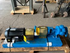 Viking Pump , Model: KK124A with WEG 7.5 HP 1,770 RPM Motor - Rigging Fees: $35