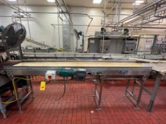 F.E.I. S/S Framed Belt Conveyor with Drive, Dimensions = 10' x 20