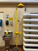 Emergency Eye Wash and Shower Station - Rigging Fees: $125