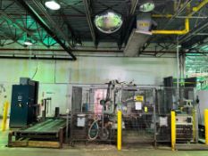 ABB Flex Palletizer Robot, Type: IRB640 M2000, S/N: 64Z-20321 with XenoROL 10' x 18