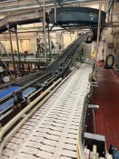 Integrated Packaging Machinery/Descon S/S Framed Inclined Conveyor with 90° Turn and Drive