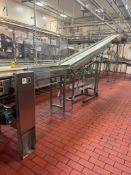 F.E.I. S/S Framed Belt Inclined Conveyor with Drive - Rigging Fees: $2500