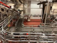S/S Framed Dual-Lane Conveyor, Dimensions = 48' x 14