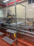 S/S Framed Conveyor-Crossover with Platform, Dimensions = 4' x 19